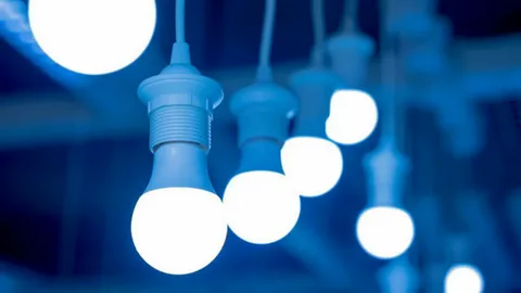 foto-beleuchtet