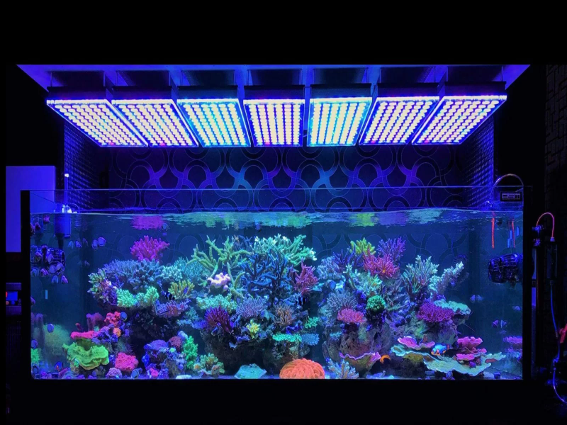 aquarien-led
