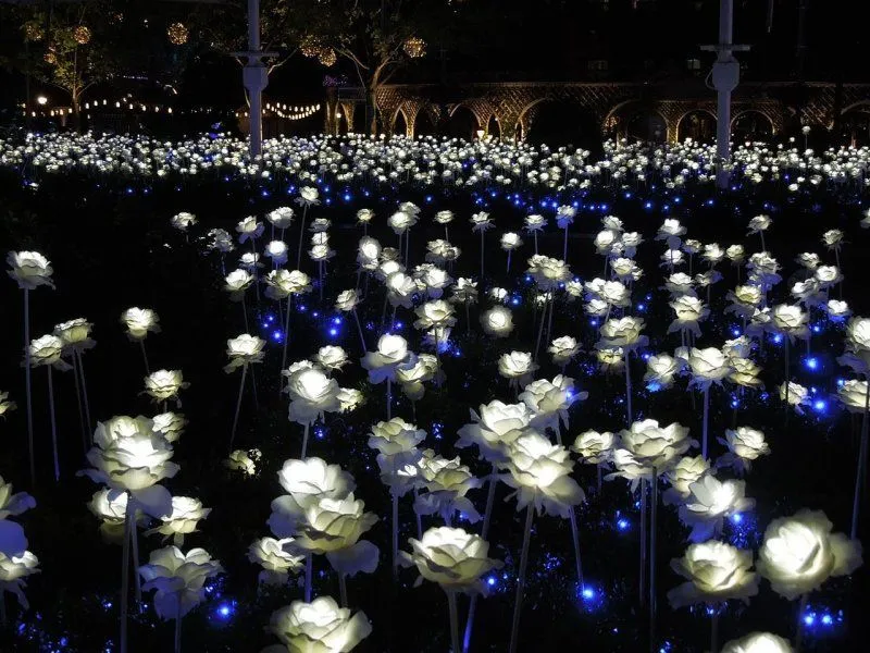 blumenbeleuchtung-fur-den-auenbereich